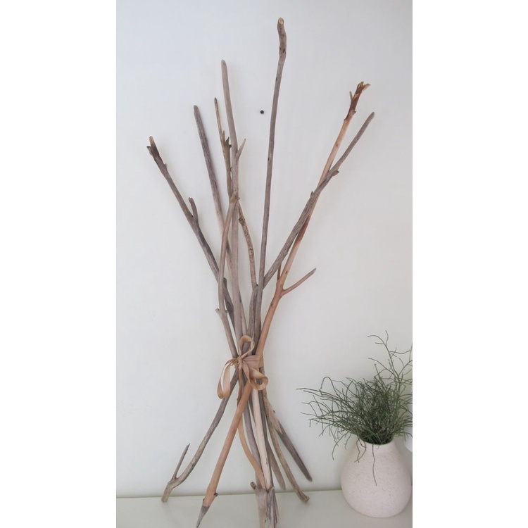 Sale Bùng Nổ Nhánh Giá Chỉ 2k- Bó Củi Phi 1cm ~ 2cm Trang Trí Sáng Tạo  20~60 cm