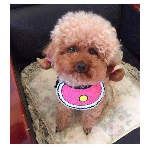 VÒNG CỔ YẾM CUTE CHO CHÓ MÈO