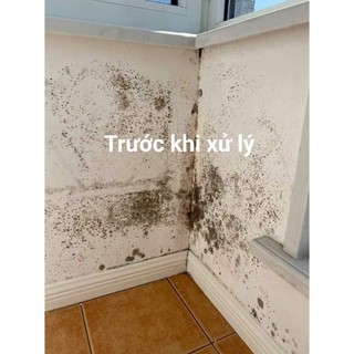 Nước Tẩy Mốc Tường_ dạng xịt
