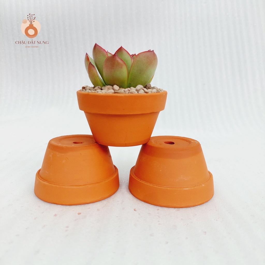 Chậu đất nung, Chậu sen đá - Ly gờ, miệng chậu 7cm, chiều cao 4cm