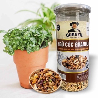Ngũ cốc Granola 500gram