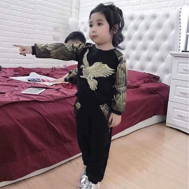 Combo set bô đại bàng