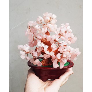 Cây Tài Lộc bằng đá thiên nhiên - màu hồng