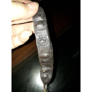 Trái bồ kết khô