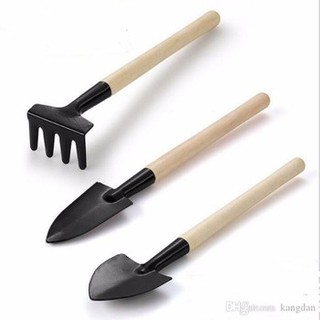 Bộ dụng cụ làm vườn mini 3 món