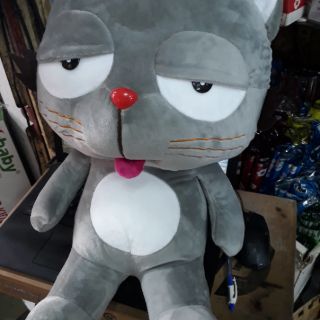 mèo dinga lớn 60cm