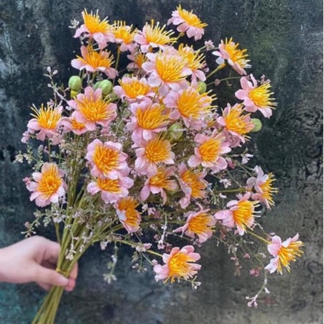 Hoa cúc giả/ Hoa cúc họa mi chất liệu xốp pu siêu đẹp