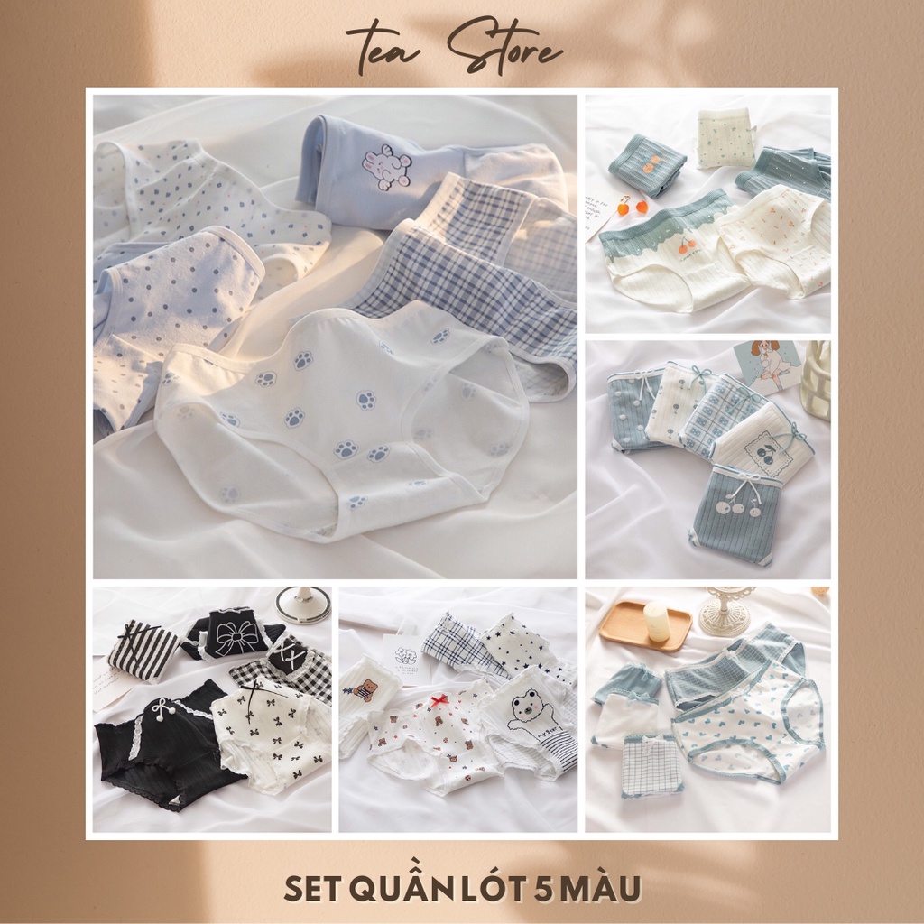 Set quần lót cotton Tea Store họa tiết dễ thương