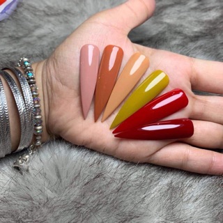 Set sơn hội tụ cao cấp