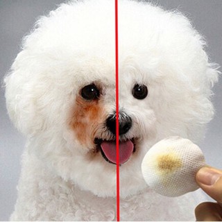 Miếng bông cotton vệ sinh mắt cho thú cưng