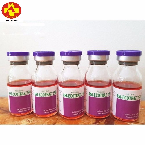 DUNG DỊCH ASI - ECOTRAZ 250 10 ML - PHA TẮM T.R.Ị VIÊM DA , VE GHẺ, RẬN TAI