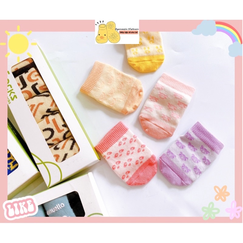 SET TẤT GGOMOOSIN MADE IN KOREA