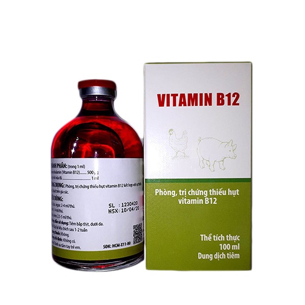 Vitamin B12