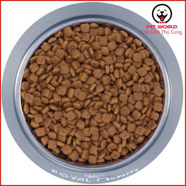 Thức ăn hạt Royal canin Indoor 27 ( 10kg )