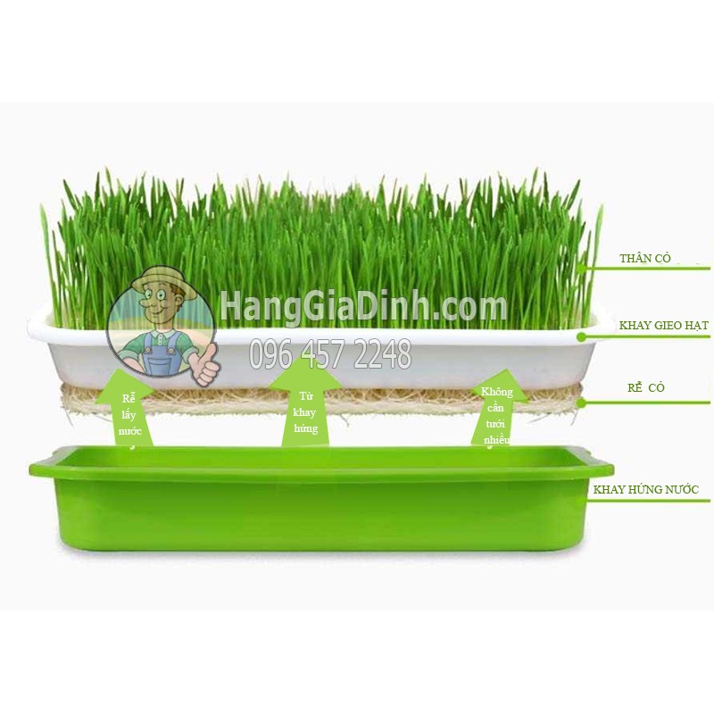 Bộ kệ trồng cỏ lúa mì và rau mầm 3 tầng 6 khay giá rẻ