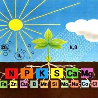 Phân Bón vi lượng Fetrilon COMBI USA nhập khẩu MỸ , Dinh dưỡng thiết yếu cho cây trồng