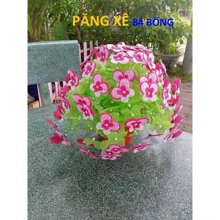 cOMBO  10 bộ hoa păng xê