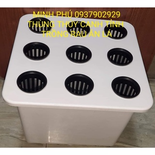 Thùng thủy canh trồng rau ăn lá giá rẻ