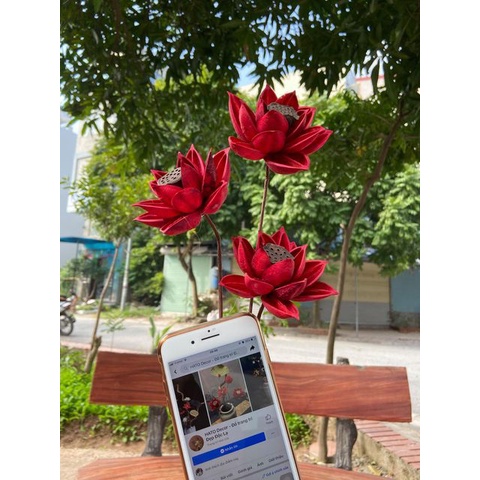 Hoa sen gỗ khô - Đài sen - Lá sen dâng cúng dường phật trang trí decor nhà - hoa lẻ