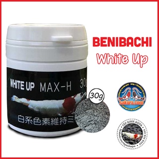 Kích Sứ Cho Tép PRL (Cao Cấp) - Benibachi White Up - [Tép Xinh Aqua]