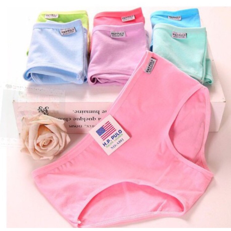 SỈ 10 QUẦN LÓT COTTON PULO