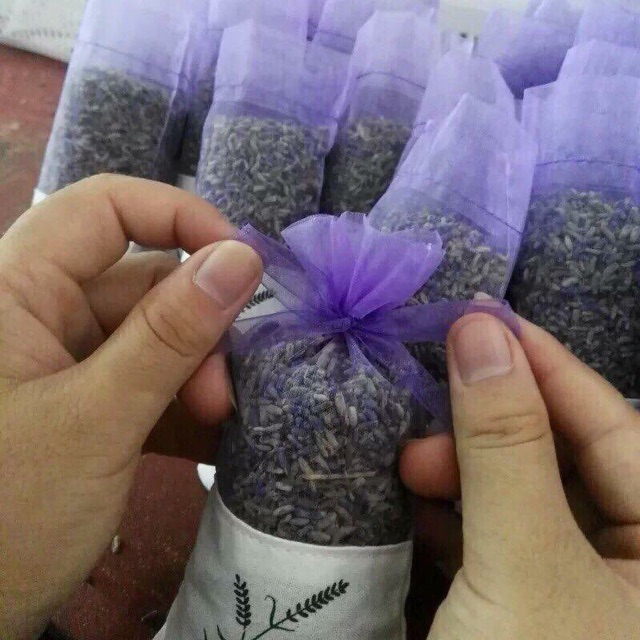 Túi thơm -NỤ HOA LAVENDER