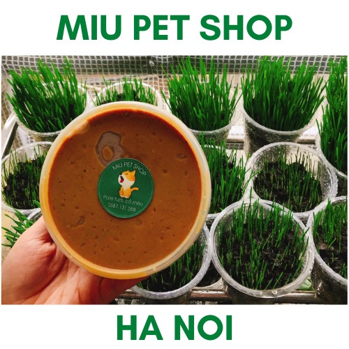 Pate mèo, pate tươi chó mèo,pate chó, pate mèo - pate gà ,cá, Hỗn hợp , bò cho Chó Mèo 500gr MIU PET SHOP ship hỏa tốc