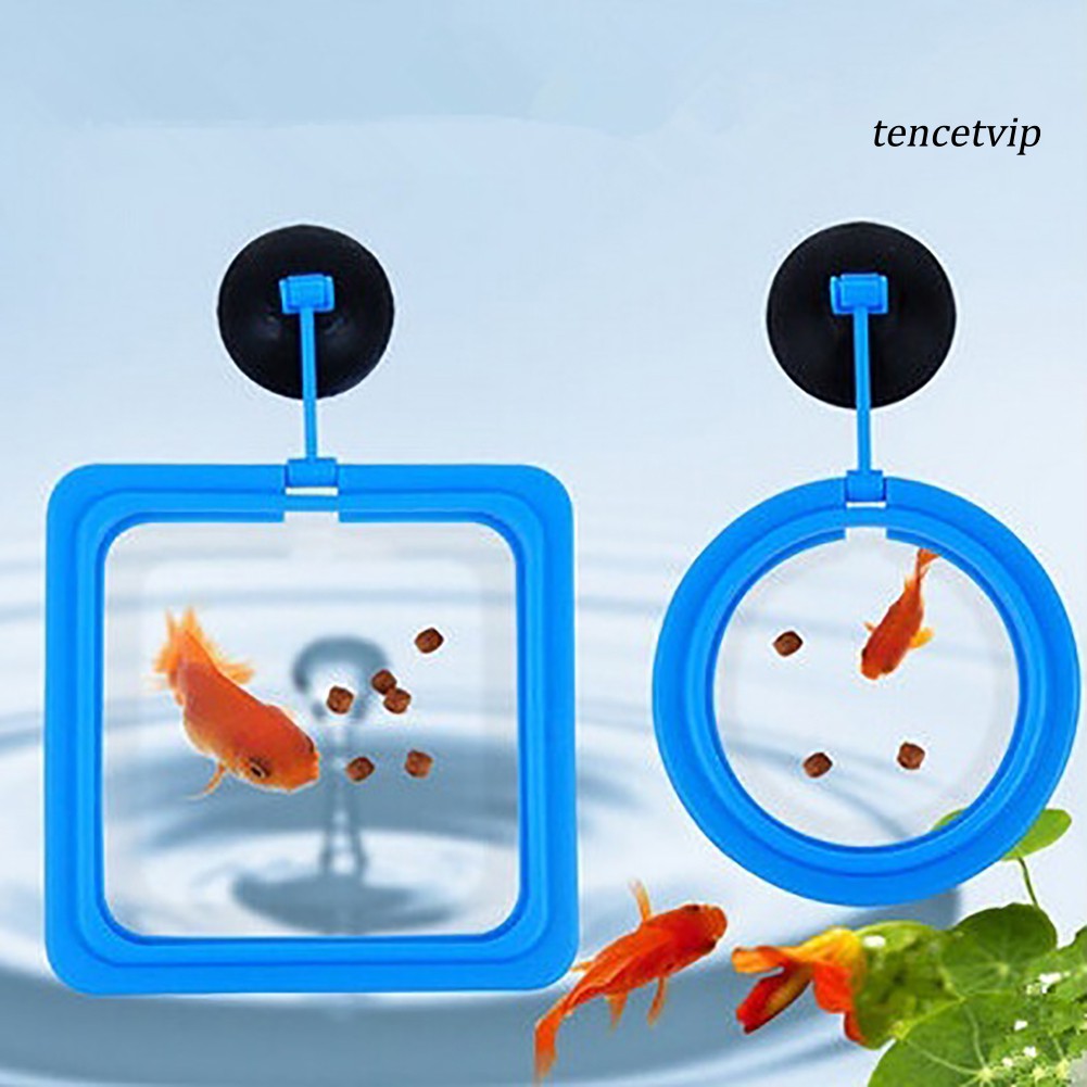 Dụng Cụ Cho Cá Ăn Có Giác Hút