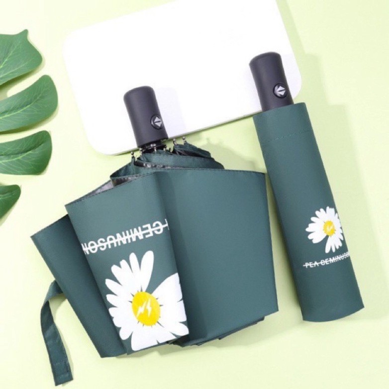 Ô Dù Hoa Cúc Hót 3 Lớp Chống Tia UV - Ô HOA CÚC GẤP GỌN