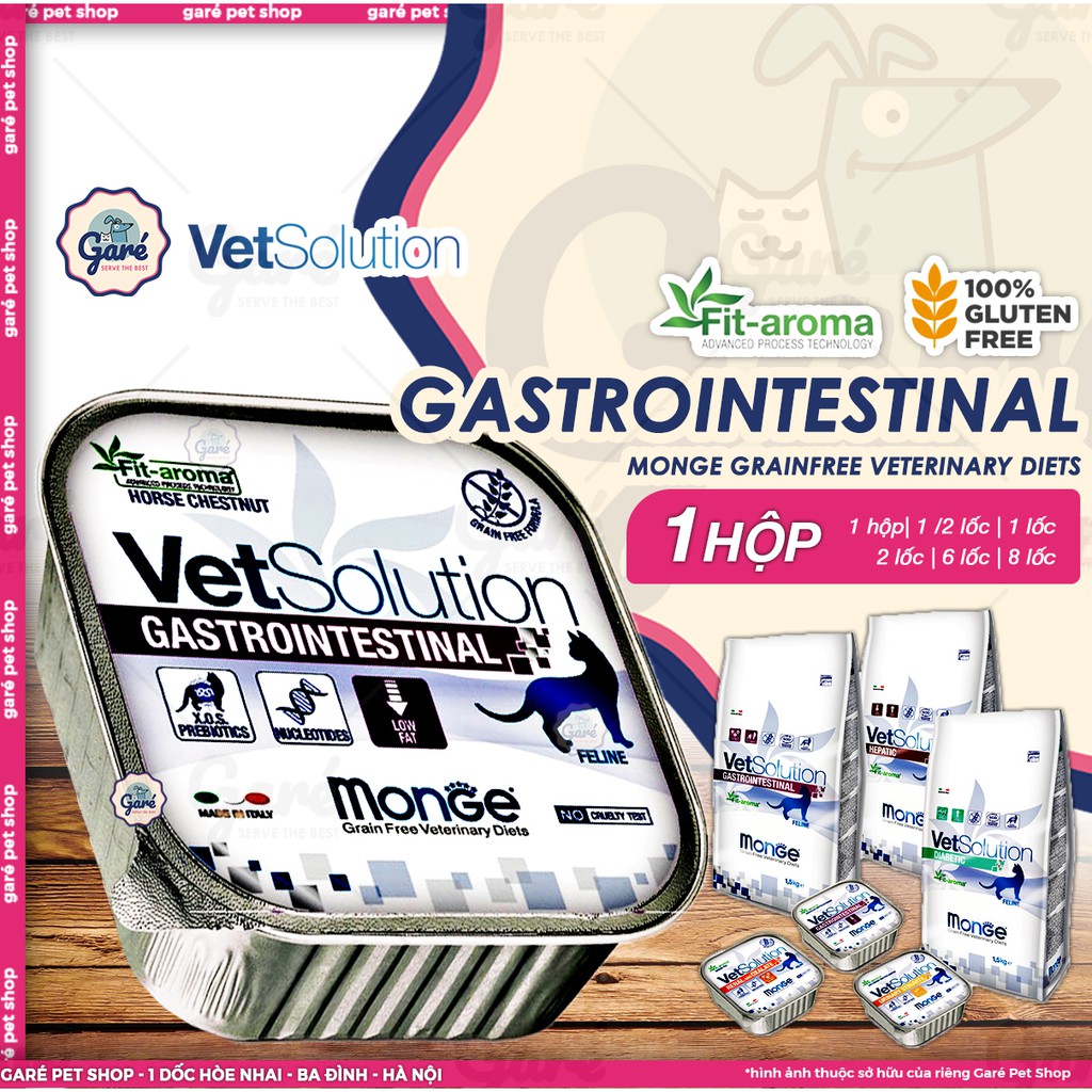 100g - Pate hỗ trợ tiêu hóa Gastrointestinal hàng nhập Ý cho Mèo - Monge Vet Solution Gastrointestinal for Cats