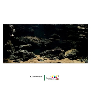 Tranh 3D dán hồ cá - bể cá mẫu đá siêu đẹp, có keo sẵn trên bề mặt, đa dạng kích thước (KTTV-051)