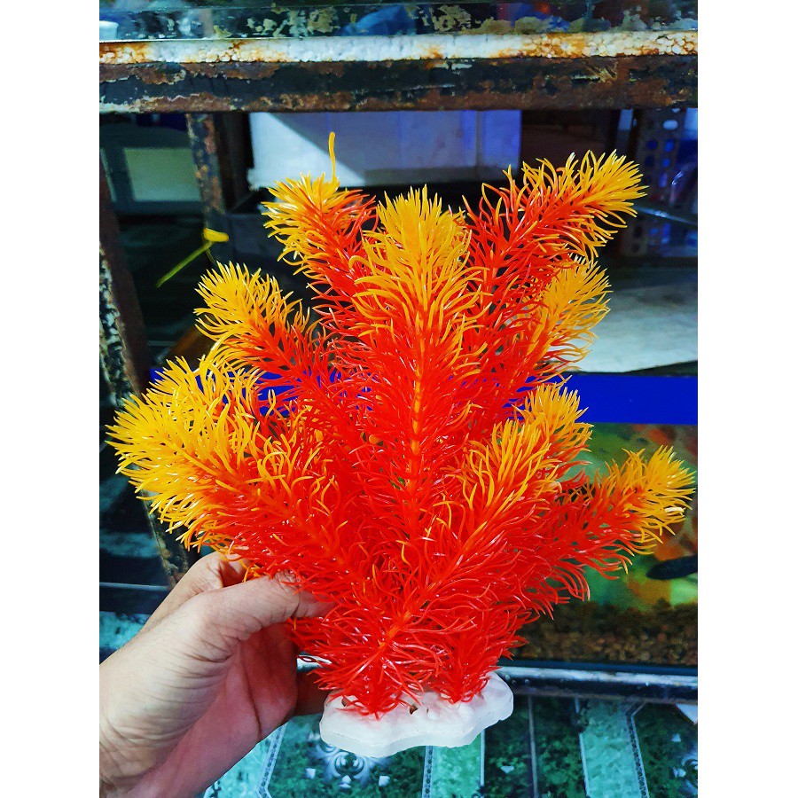 RONG GIẢ TRANG TRÍ HỒ CÁ NON BỘ CAO 23CM