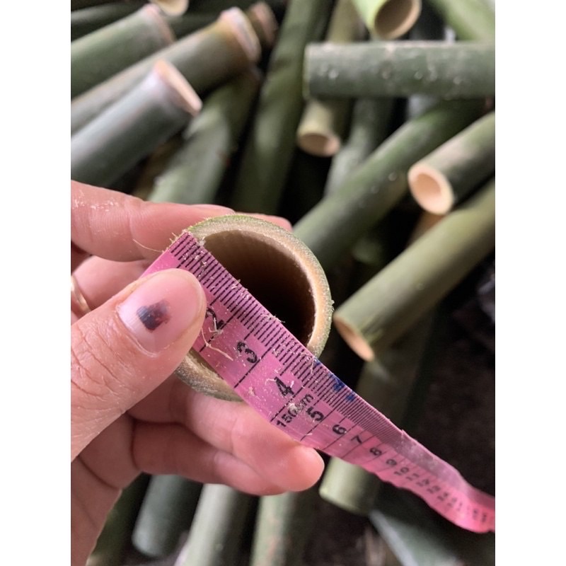(HCM) Ống tre làm cơm lam kích thước 3.5x24 cm | BigBuy360 - bigbuy360.vn