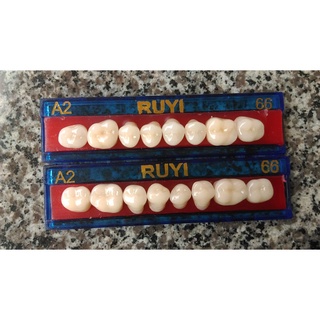 Răng sứ tháo lắp dạng vĩ 8 răng cối/ hàm