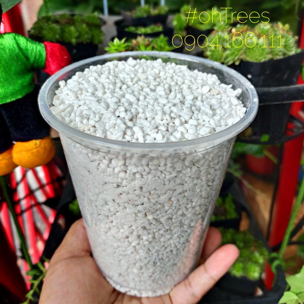 Đá perlite dùng trộn đất trồng cây, rau, sen đá, xương rồng, chậu ban công 1L