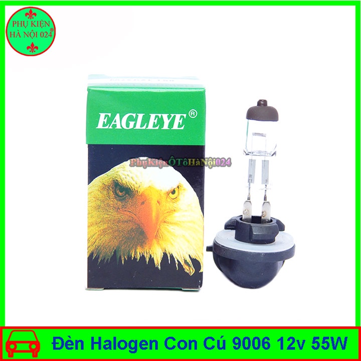 Bóng đèn Halogen Con Cú 9006 12v 55W