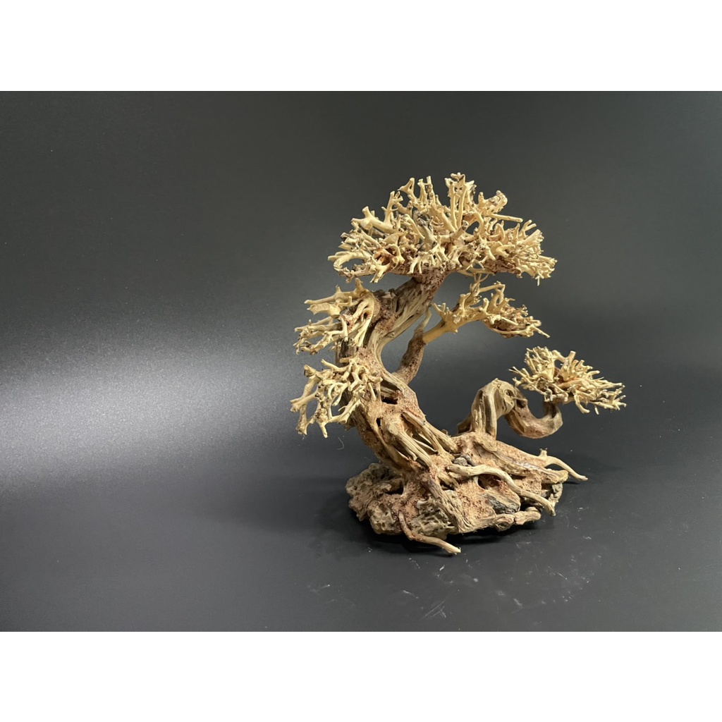 Lũa Bonsai, Lũa thủy sinh dùng trang trí hồ cá cảnh, hồ thủy sinh, văn phòng, nhà cửa
