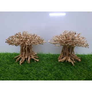 Lũa nấm bonsai cấy rêu hồ cá ( Ngan 15cm cao 10cm )