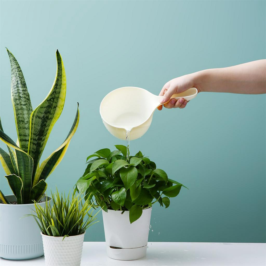 Gáo Múc Nước JUJIAJIA Bằng Nhựa Dày Dặn Dùng Gội Đầu Cho Bé/ Sử Dụng Trong Nhà Bếp