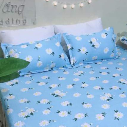 Combo 2 vỏ gối nằm poly 45x65cm họa tiết cúc họa mi xanh