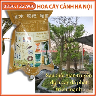 Túi 1 lít Dịch truyền dinh dưỡng màu nâu giúp cây công trình bật rễ, nảy mầm nhanh khỏe
