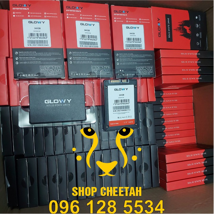 Ổ cứng SSD Gloway 240GB – CHÍNH HÃNG – Bảo hành 3 năm – SSD 240GB – Tặng cáp dữ liệu Sata 3.0 | BigBuy360 - bigbuy360.vn