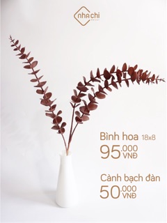 Cành lá bạch đàn