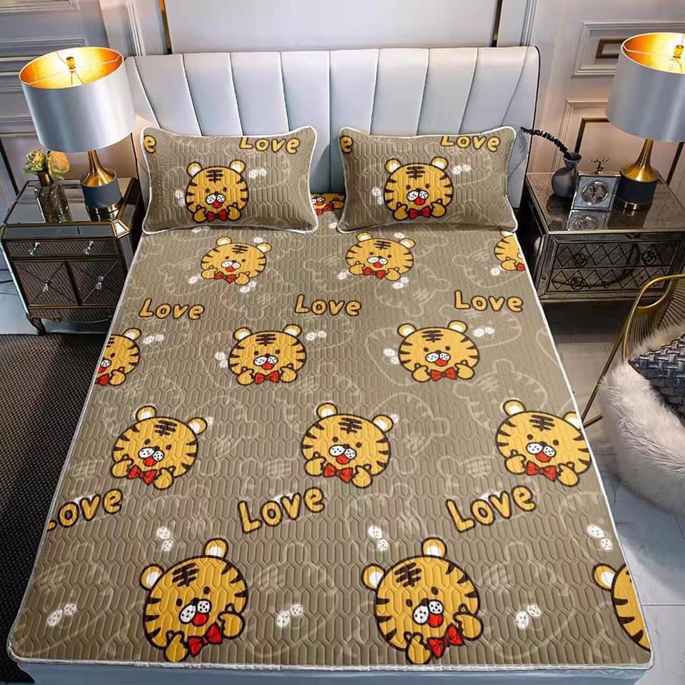 Chiếu điều hòa sao su non in hình 3D dễ thương tăng kèm 2 vỏ gối đầu | BigBuy360 - bigbuy360.vn