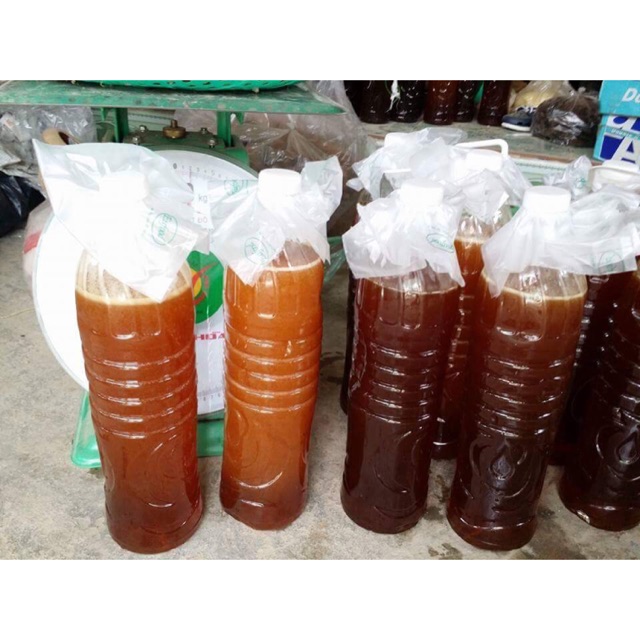 Mật ong rừng Tây Bắc