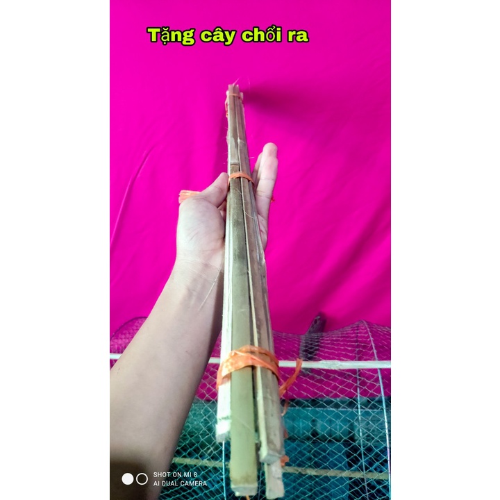 Bẫy Cá Lóc, cá sặc, cá rô, lươn, cua, ếch đa năng không dùng mồi