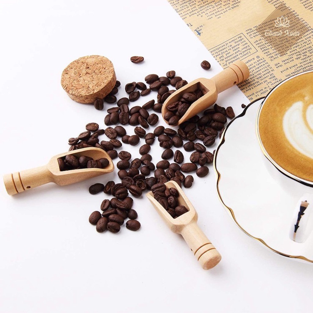 Muỗng gỗ - Muỗng thìa xúc trà, cà phê bằng gỗ tiện lợi thân thiện với môi trường