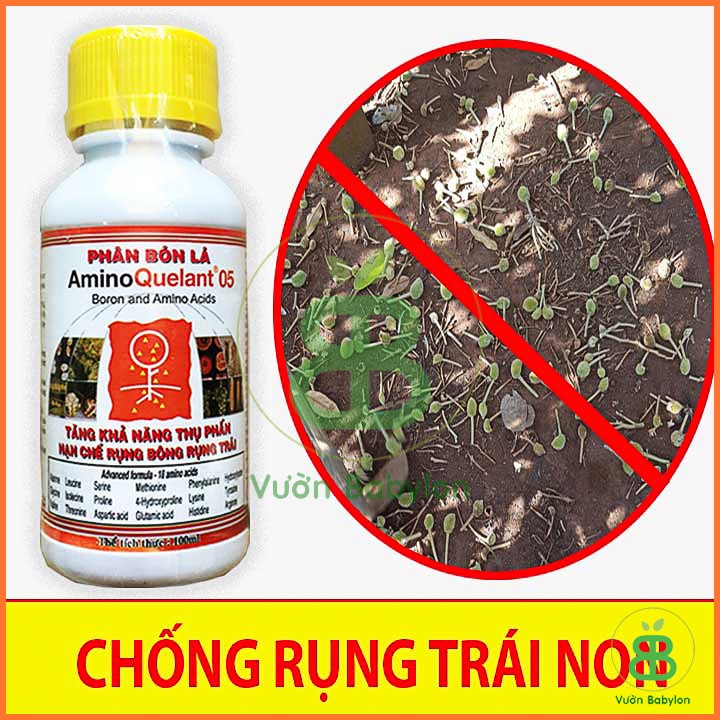 Amino Bo - Phân Bón Lá Đạm Sinh Học 100ml Tăng Khả Năng Thụ Phấn, Chống Rụng Bông, Rụng Trái