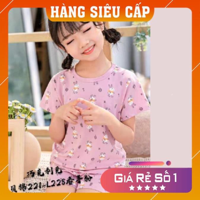 Bộ cotton mùa hè thấm hút mồ hôi họa tiết xuất hàn cao cấp cho bé từ 8 đến 16 kg