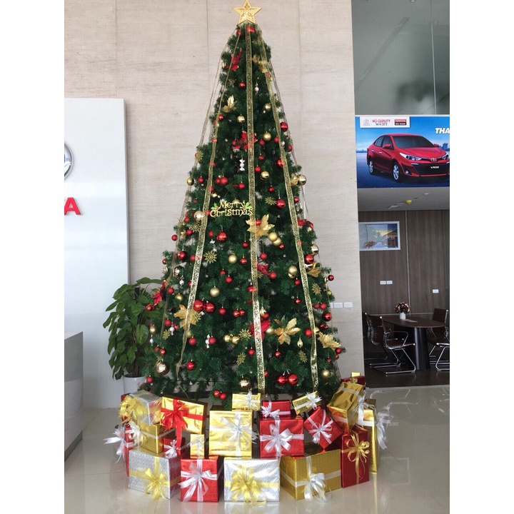 Cây Thông Noel Cao 3m, Tán Rộng, Dày